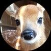 foragedfawn